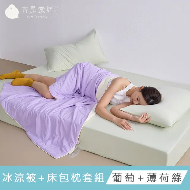 【青鳥家居】奶蓋綿綿冰涼被+涼感伸縮床包枕套組(涼夏床包涼被組/涼感組)