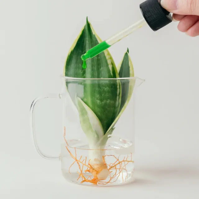 【1%植物關鍵】1%植物營養精華60ml*2(觀葉植物肥料 室內盆栽液肥 多肉植物養分 居家植栽營養劑 營養液)