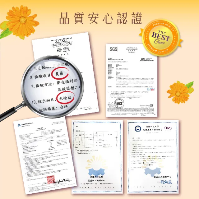 【慢悠仙】阿里山油菊花茶 25g 小包 袋裝(花瓣/台灣/可沖40壺/SGS無農藥/無咖啡因無糖/花草茶養生茶)