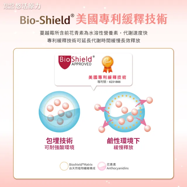 【悠活原力】高濃縮蔓越莓私密益生菌植物膠囊x2(30粒/盒 共60粒 蔓越莓 蔓越莓益生菌)