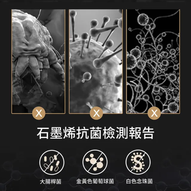 【LooCa】雙人加大 石墨烯乳膠M型護框獨立筒床墊 6x6.2尺x25cm(送石墨烯枕套+保潔墊)｜父親節禮物