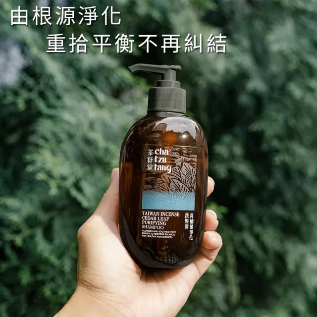 【茶籽堂】肖楠葉淨化洗髮露500mLx2入(油性頭皮/頭皮異味/淨化毛孔)