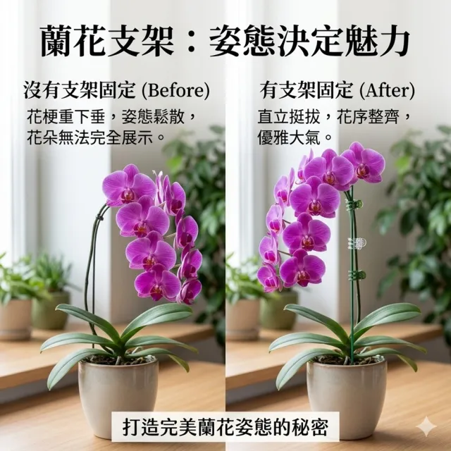 【POKO】植物支撐桿 蘭花支撐架 10入(27cm固定架 爬藤 園藝支撐桿 觀葉植物 園藝用品固定架)