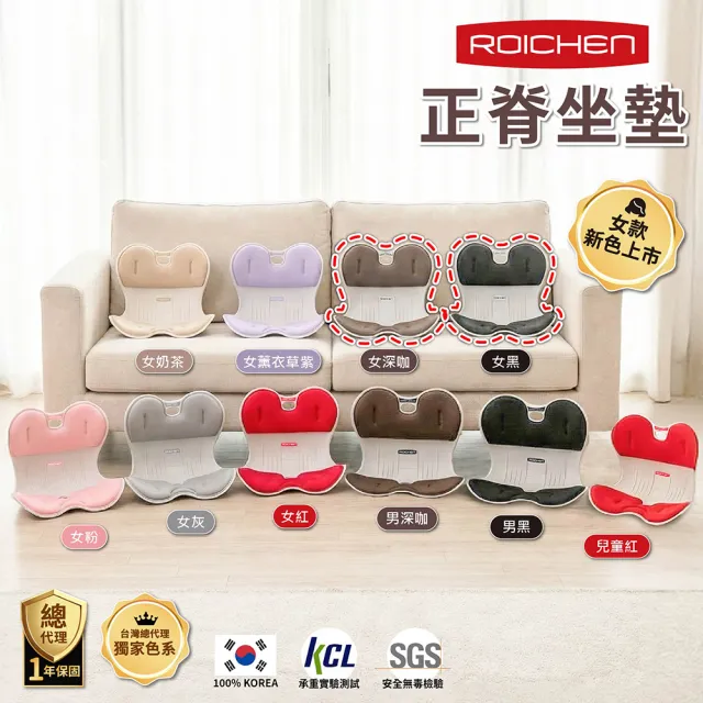 【Roichen】韓國 減壓舒適正脊坐墊/護脊椅墊/護腰靠墊 1入(正脊 美姿 椅背靠墊)