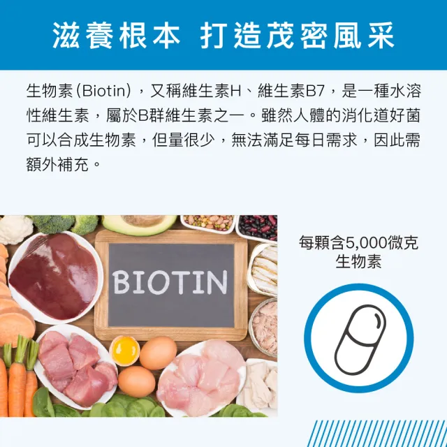 【GNC 健安喜】生物素5000膠囊食品 120粒/瓶(幫助能量代謝/幫助胺基酸代謝)