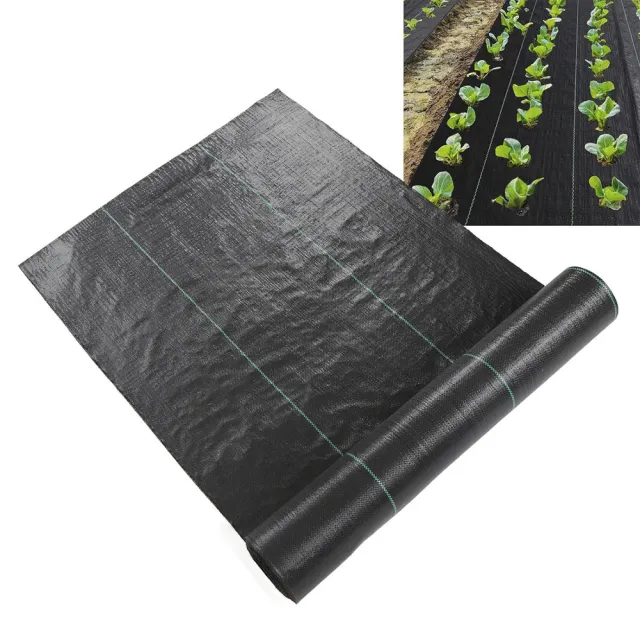 【poko】台灣現貨優質抑草蓆 物理除草 除草布 1*50米 防雜草(除草布 刈草蓆 黑色除草墊 黑網蓋布 園藝地布
