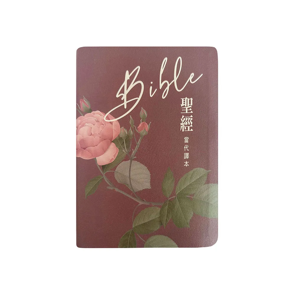 聖經-當代譯本（清新粉翻口彩繪仿皮索引精裝） - momo購物網- 好評推薦