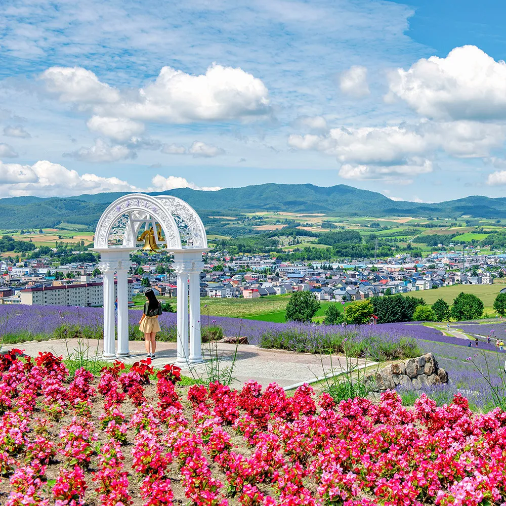 【喜鴻假期】★夏日HIGH翻北海道５日★留壽都、旭山動物園、忍者魁花秀、薰衣草花海、採果趣