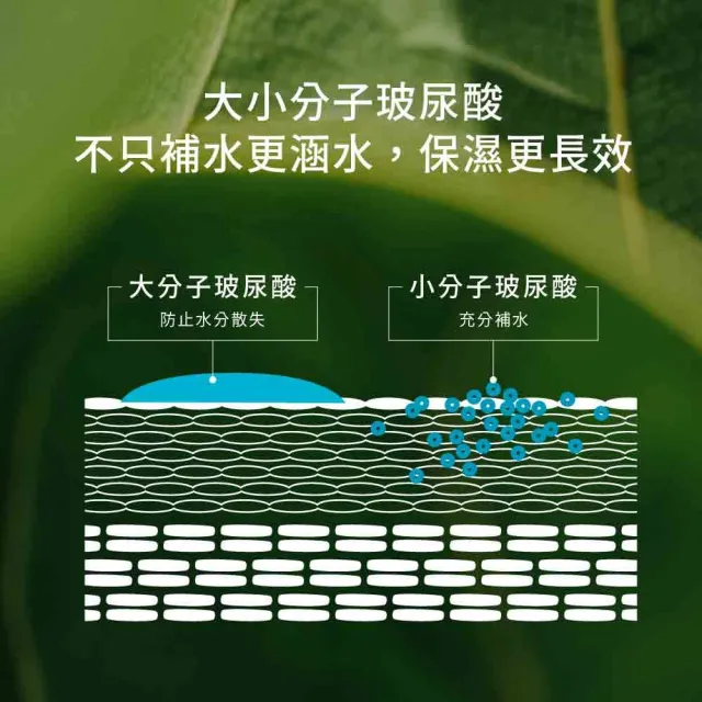 【greenvines 綠藤生機】純粹保濕精華液30ml(專注保濕/高濃度大小分子玻尿酸)