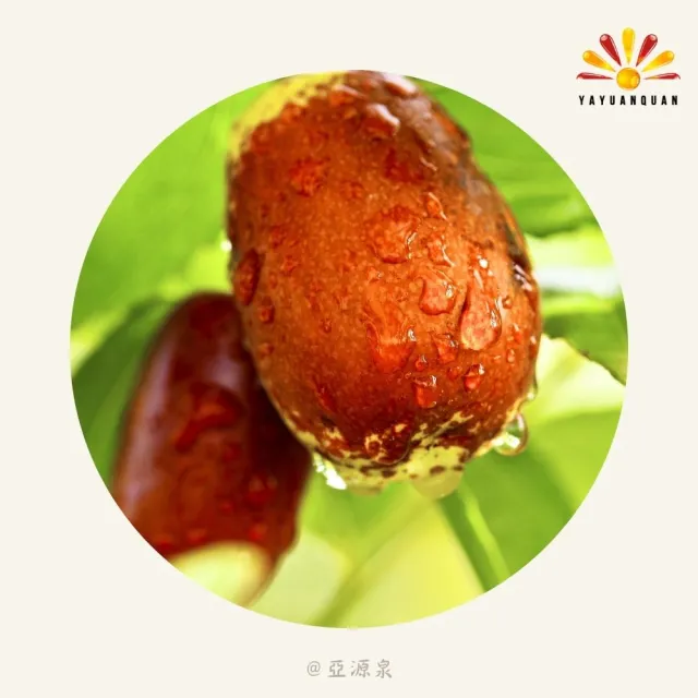 【亞源泉】頂級枸杞/紅棗 200g/包 枸杞茶 紅棗茶 兩種任選 10包