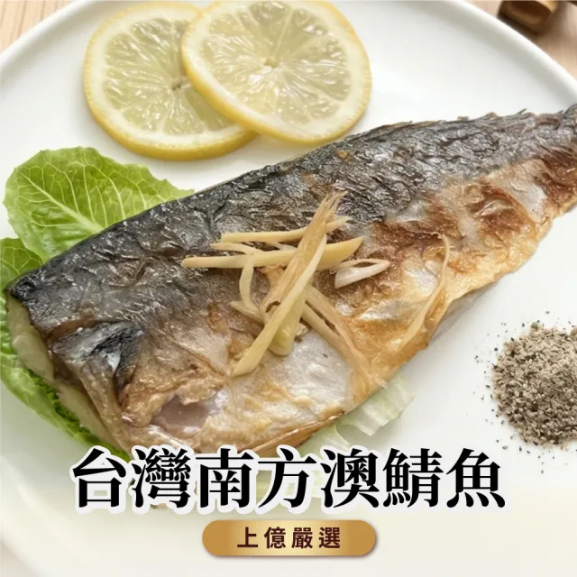 台灣南方澳鯖魚