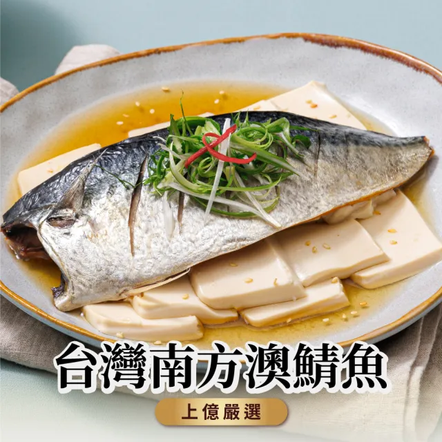 台灣南方澳鯖魚