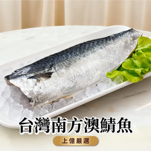 台灣南方澳鯖魚