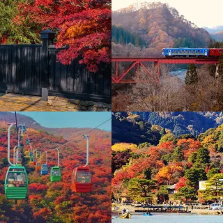 【PlayEZ 美好假期】東北楓紅絕景．奧入瀨溪谷．角館秋色雙湯4日