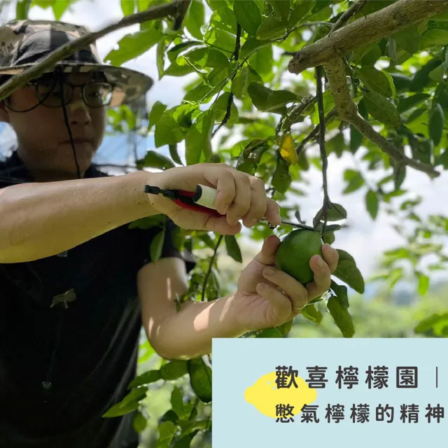 【Becky Lemon 憋氣檸檬】檸檬汁6瓶(1460ml/瓶)