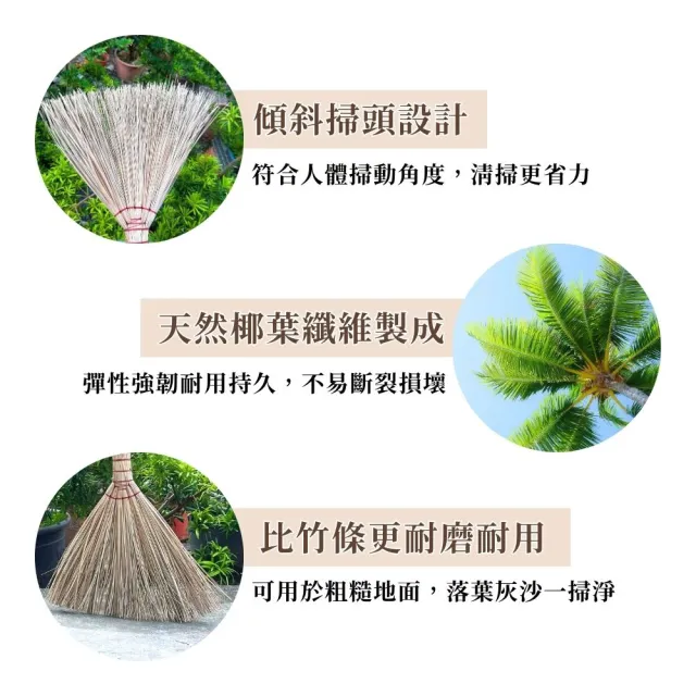 彈力戶外斜掃12入