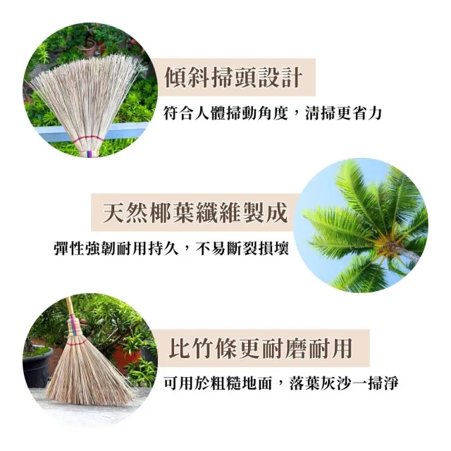 編織爪哇掃12入