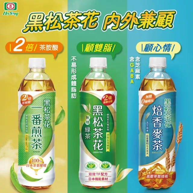 【黑松】黑松茶花一番煎茶580mlx2箱 共48入