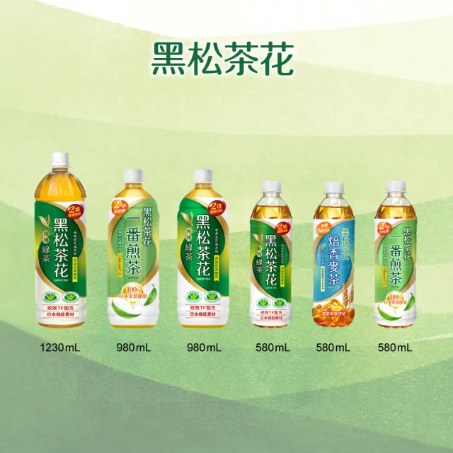 【黑松】黑松茶花綠茶580mlx2箱(共48入)