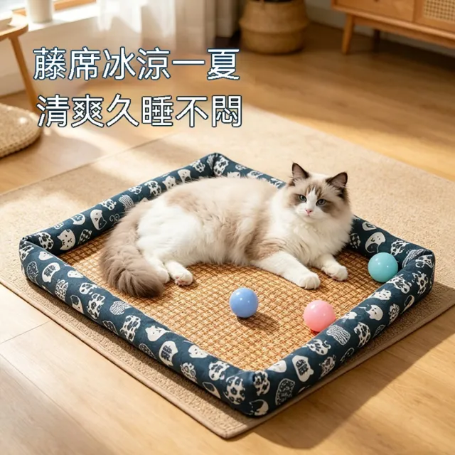 【2026】寵物涼墊推薦｜10款高評價人氣品牌排行榜 | BALIMAN情報局