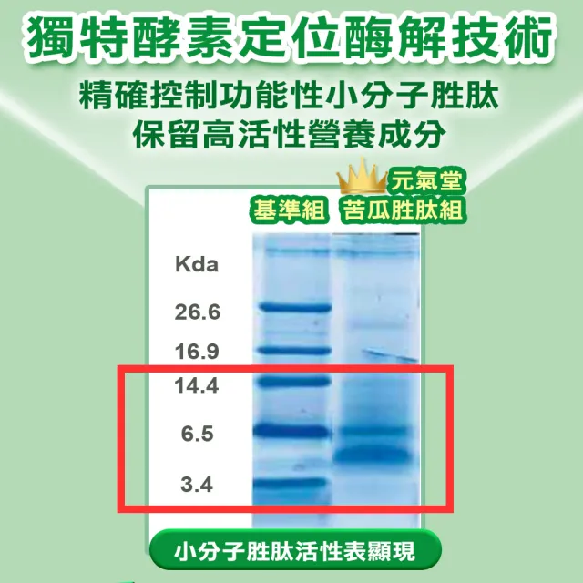 【元氣堂】醣的對策胜肽苦瓜膠囊30粒x6盒(平衡穩當/促進代謝/增加飽足)