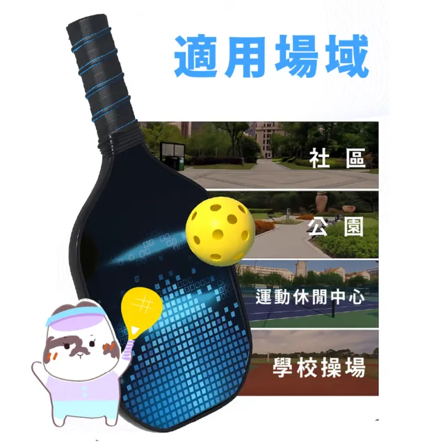 【CLEAN 克林】專業匹克球拍套裝 2拍+4球+收納包 #TV005(匹克球 匹克球拍 球拍 室外球 戶外娛樂)