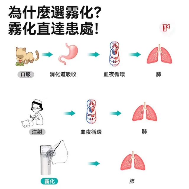 霧化機 寵物加濕器 寵物噴霧器 貓咪霧化器（充電款）(靜音降噪/貓狗通用/含配件)