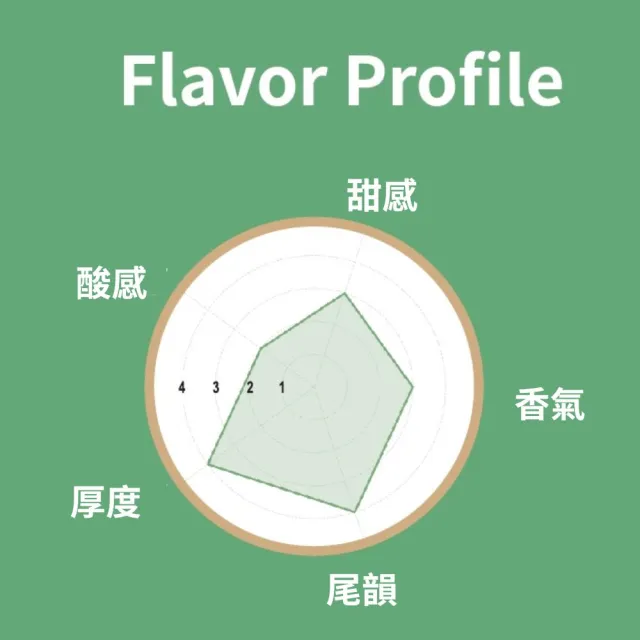 【Felala 費拉拉】職人嚴選  全風味咖啡品鑑禮盒 濾掛咖啡 浸泡咖啡