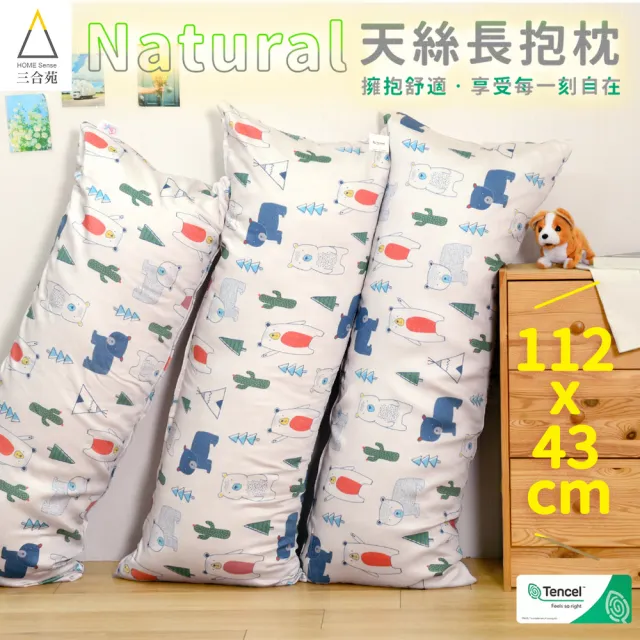 【Embrace 英柏絲】100%純天絲長抱枕 日本JIS抗菌 可水洗 台灣製 43x112cm 交換禮物(天絲抱枕)