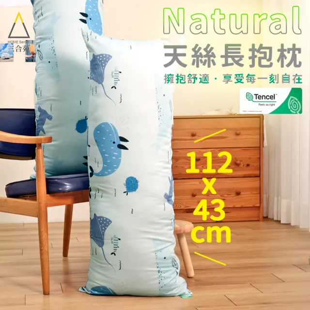 【Embrace 英柏絲】100%純天絲長抱枕 日本JIS抗菌 可水洗 台灣製 43x112cm 交換禮物(天絲抱枕)