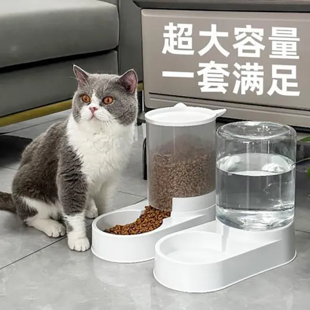 【2026】寵物餐具推薦ptt》10款高評價人氣品牌排行榜 | BALIMAN情報局