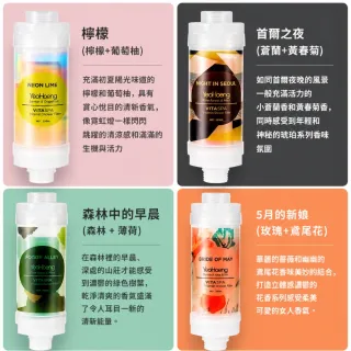 買一送一 韓國 YEOHAENG 雅核恩 香氛沐浴過濾器 除氯濾芯 蓮蓬頭濾水器 花灑淨水 香氛濾水器