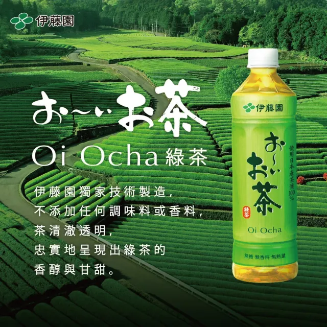 【伊藤園】綠茶/濃茶 530mlx2箱(共48入; 新舊包裝隨機出貨)