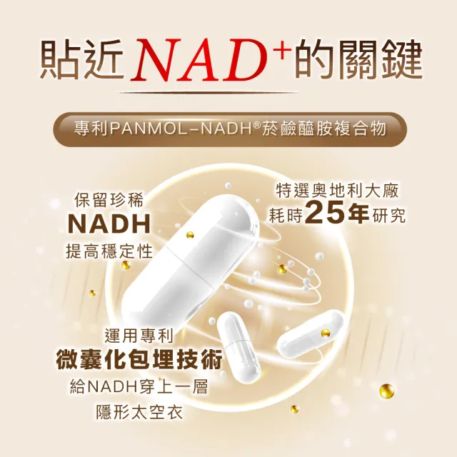 【Angel LaLa 天使娜拉】NMN時光賦活NADH EX膠囊(30顆/盒/賴雅妍代言)