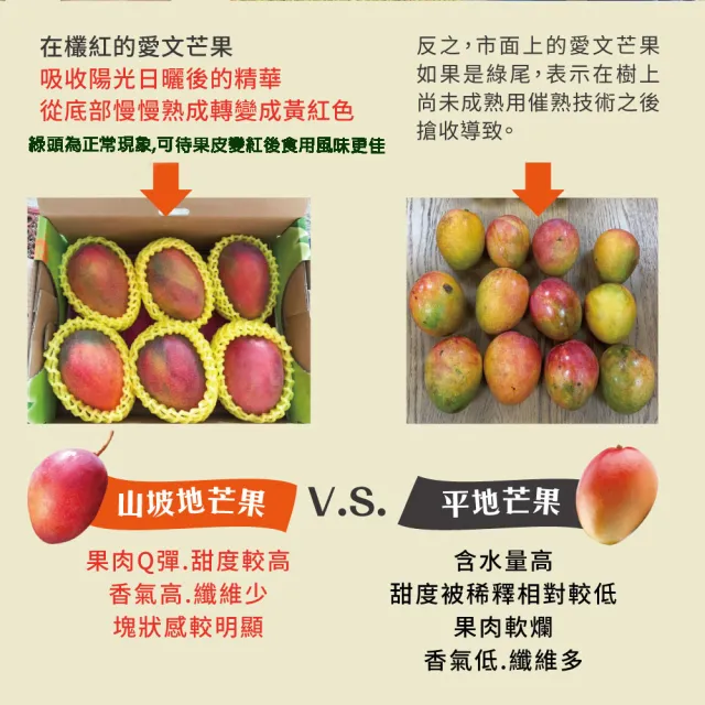 【初品果】屏東青農楊忠憲-枋山阿憲愛文芒果10斤18-24顆x1箱(現貨出貨_山頂上的愛文芒果 禮盒)