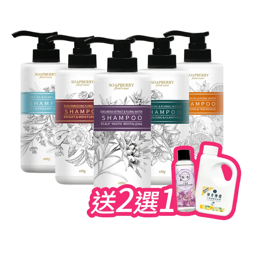 【古寶無患子】4入任選 純露系列洗髮精480g(西西里檸檬/大馬士革玫瑰/苦橙豐盈/薄荷控油/雪絨花髮根強韌)