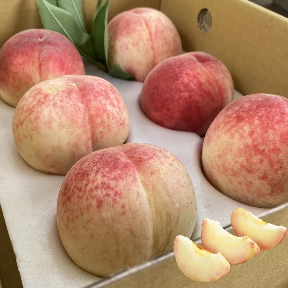【初品果】拉拉山水蜜桃禮盒6顆x2盒(共12顆_每盒1200g_產地直送_季節限定_企業採購_禮盒)