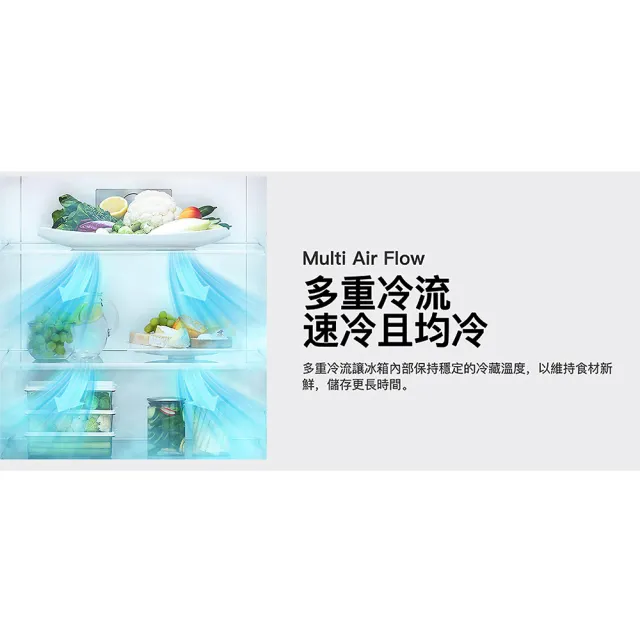 【LG 樂金】家電快配335公升一級能效變頻右開雙門冰箱(GN-L332BS)