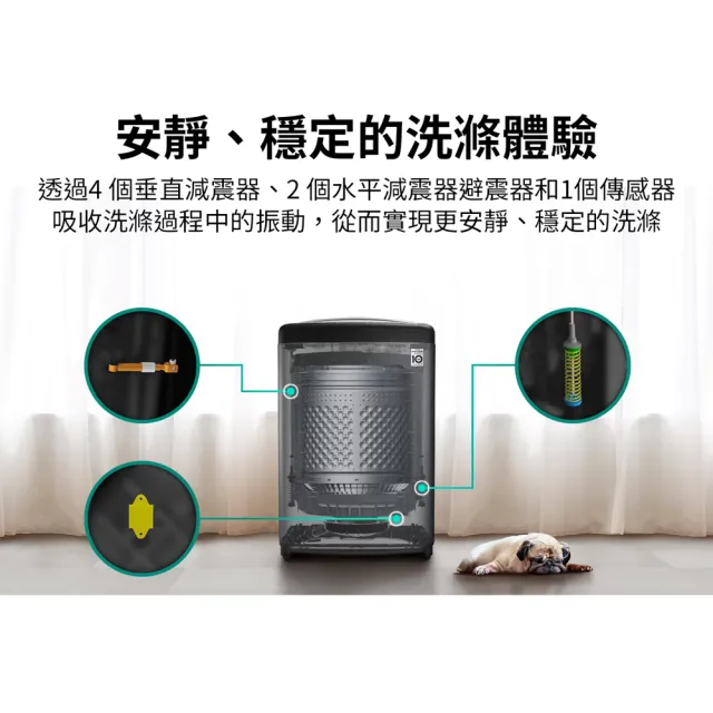 【LG 樂金】家電快配19公斤◆AI DD™智慧直驅變頻洗衣機 ◆極光黑(WT-VD19HB)