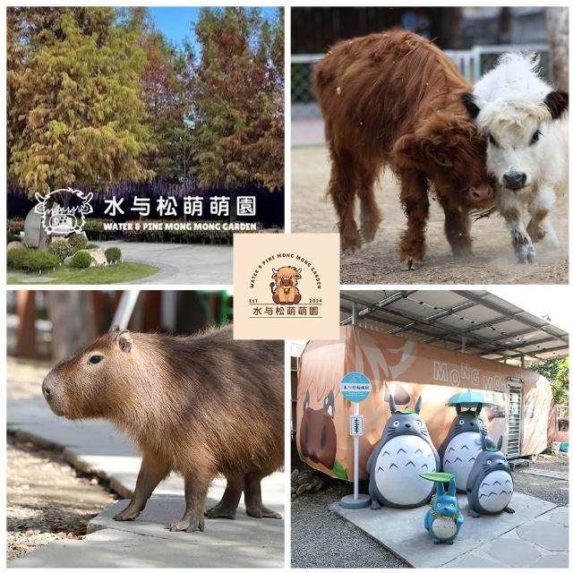 南投水与松萌萌園｜5/30偷殺!成人票★萌寵動物大集合親子出遊首選(含在地小禮物兌換券)