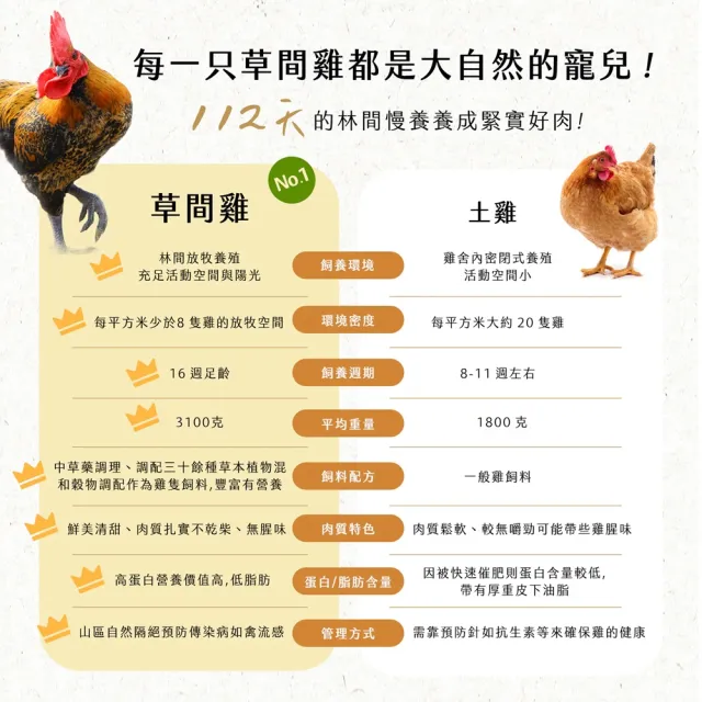 【大野山牧場】山野豚 龍骨排(600g - 高雄在地飼養)