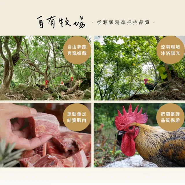 【大野山牧場】山野豚 無毒豬肝(200g - 高雄在地飼養)
