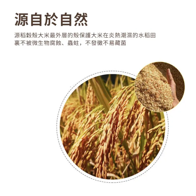 【FAJI】食品級稻殼碗筷10人套 新款環保可降解餐具 家用野餐一次性餐盒 稻殼餐具 環保餐具