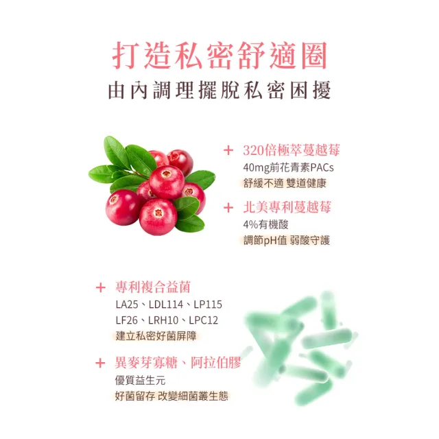 【BHK’s】PACs蔓越莓益生菌粉 (2g/包；30包/盒)3盒