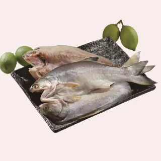 【海之醇】台灣物產午仔魚一夜干-7隻組(200g/隻)