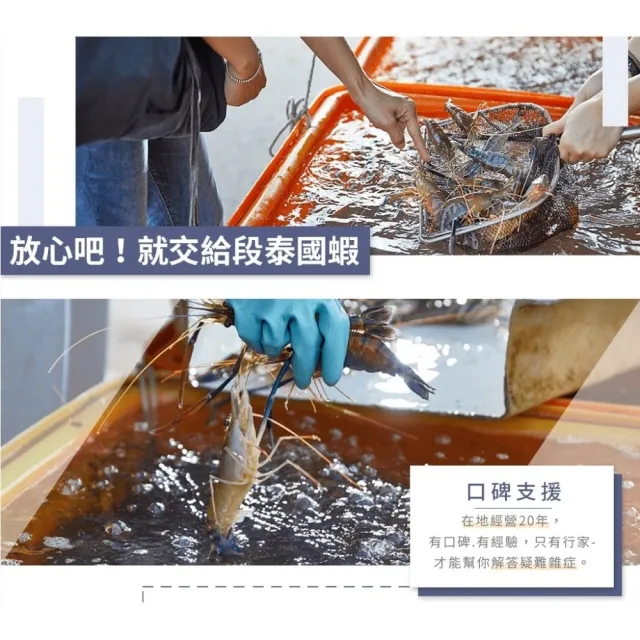 【段泰國蝦】屏東鮮凍泰國蝦 精選A級老饕大蝦600gx2包(每組約18-20隻 公母混合)