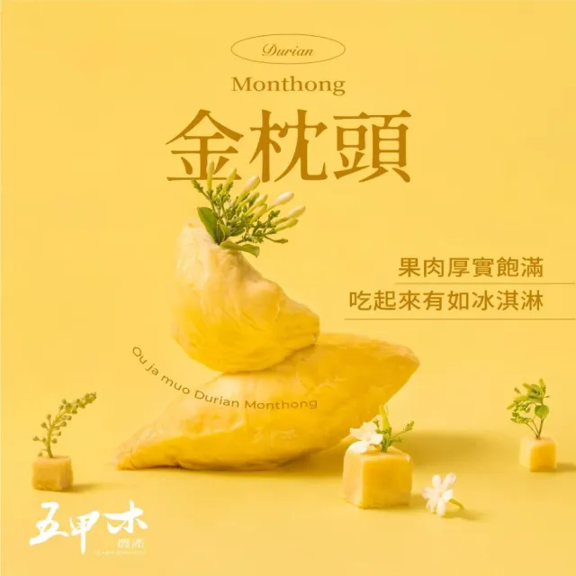 【五甲木】官方直營-(箱購組)泰國鮮凍金枕頭榴槤12包(300g/包)冷凍榴槤