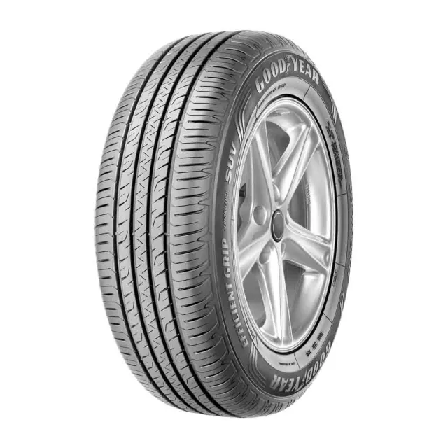 【GOODYEAR 固特異】EFFICIENTGRIP PERFORMANCE SUV 舒適休旅輪胎_二入組_225/65/17(車麗屋)