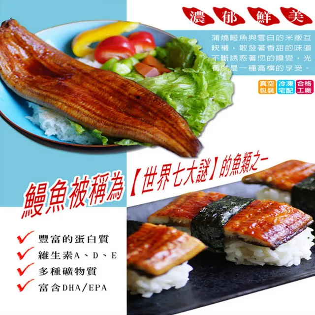 【海之醇】頂級蒲燒鰻魚-3隻組(175g±10%不含醬汁/隻)
