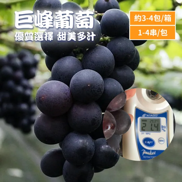 【水果達人】台灣一級巨峰葡萄禮盒 (3斤x1箱) 葡萄之王/汁多/香氣濃郁寄出日(下訂日1-3天出貨)